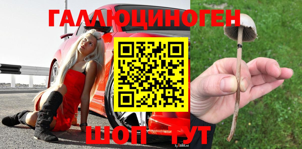 Галлюциногенные грибы мухоморы Кондопога