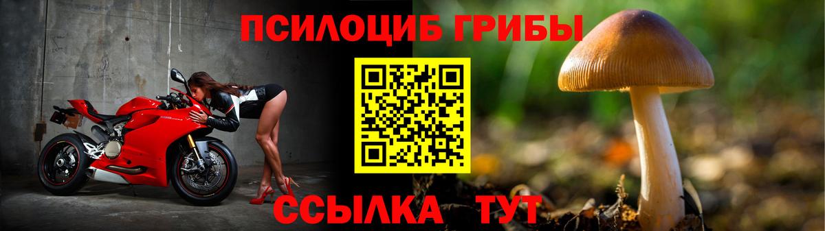 Галлюциногенные грибы Psilocybe  Вход с VPN  Кондопога  Псилоцибиновые грибы Psilocybe 